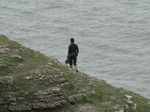 SX08013 Wouko walking on cliff towards Southerndown.jpg